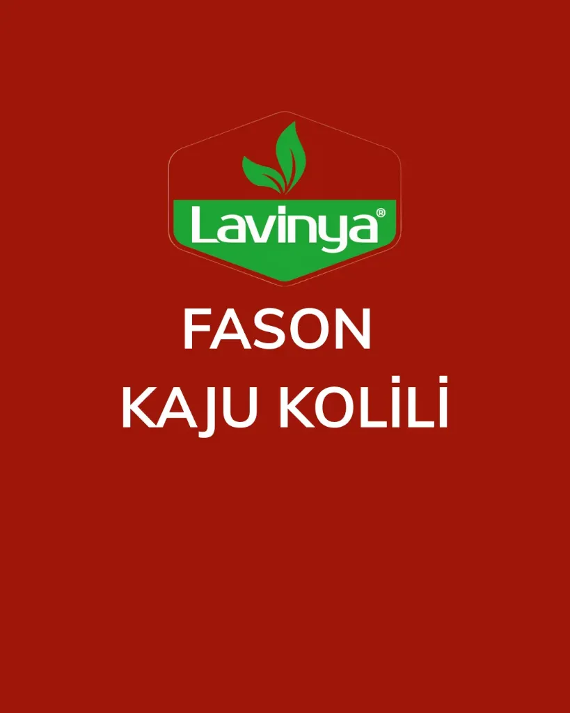 FASON KAJU KOLİLİ