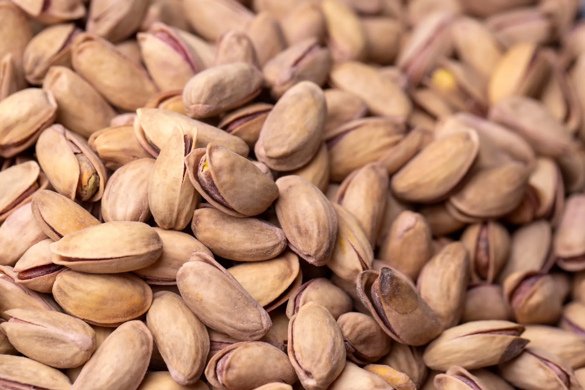 ANTEP FISTIĞI SÜPER LÜX