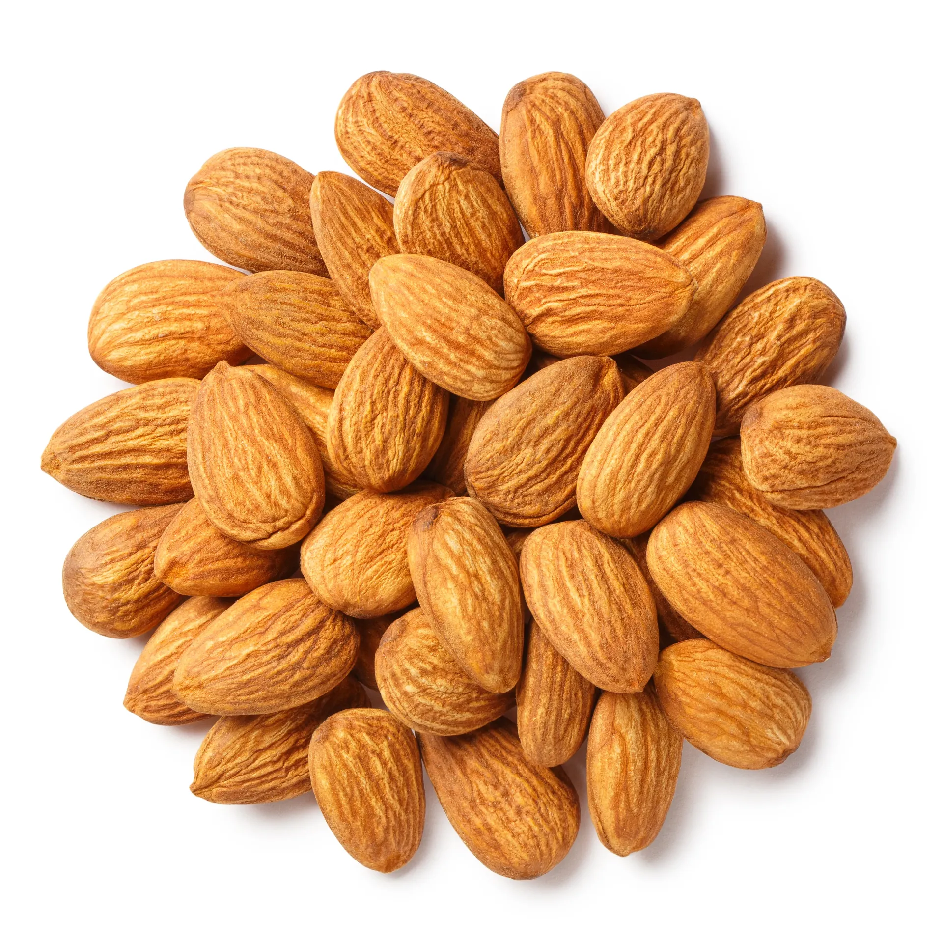 [15] BADEM ÇİĞ 22-24