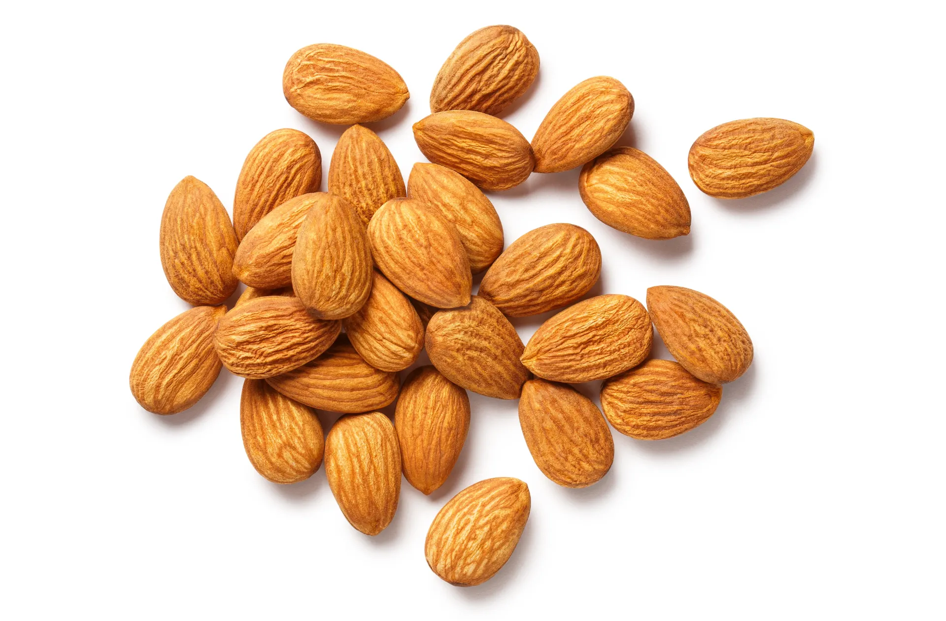 [02] ÇİĞ BADEM  20-22