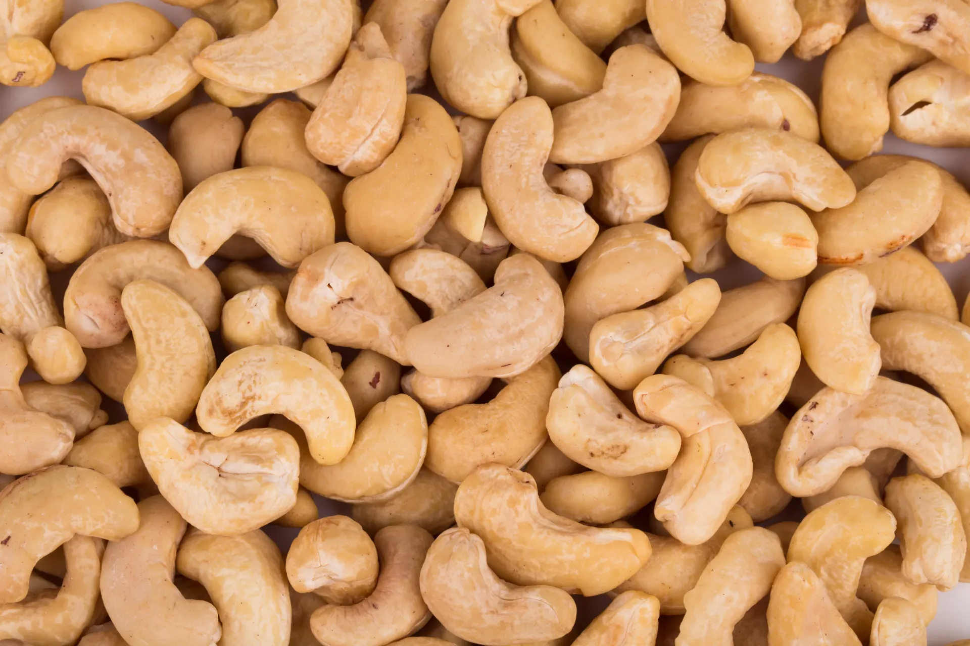 [31] KAJU KAVRULMUŞ 180