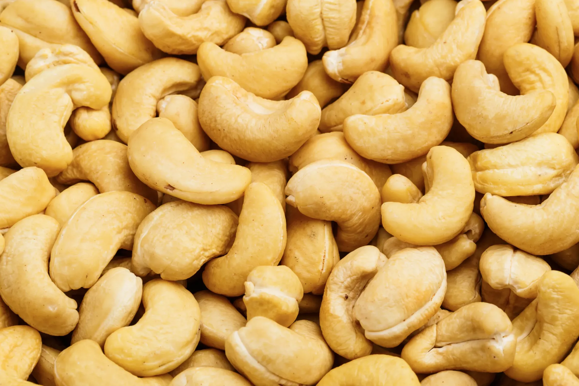 [33] KAJU KAVRULMUŞ 320W