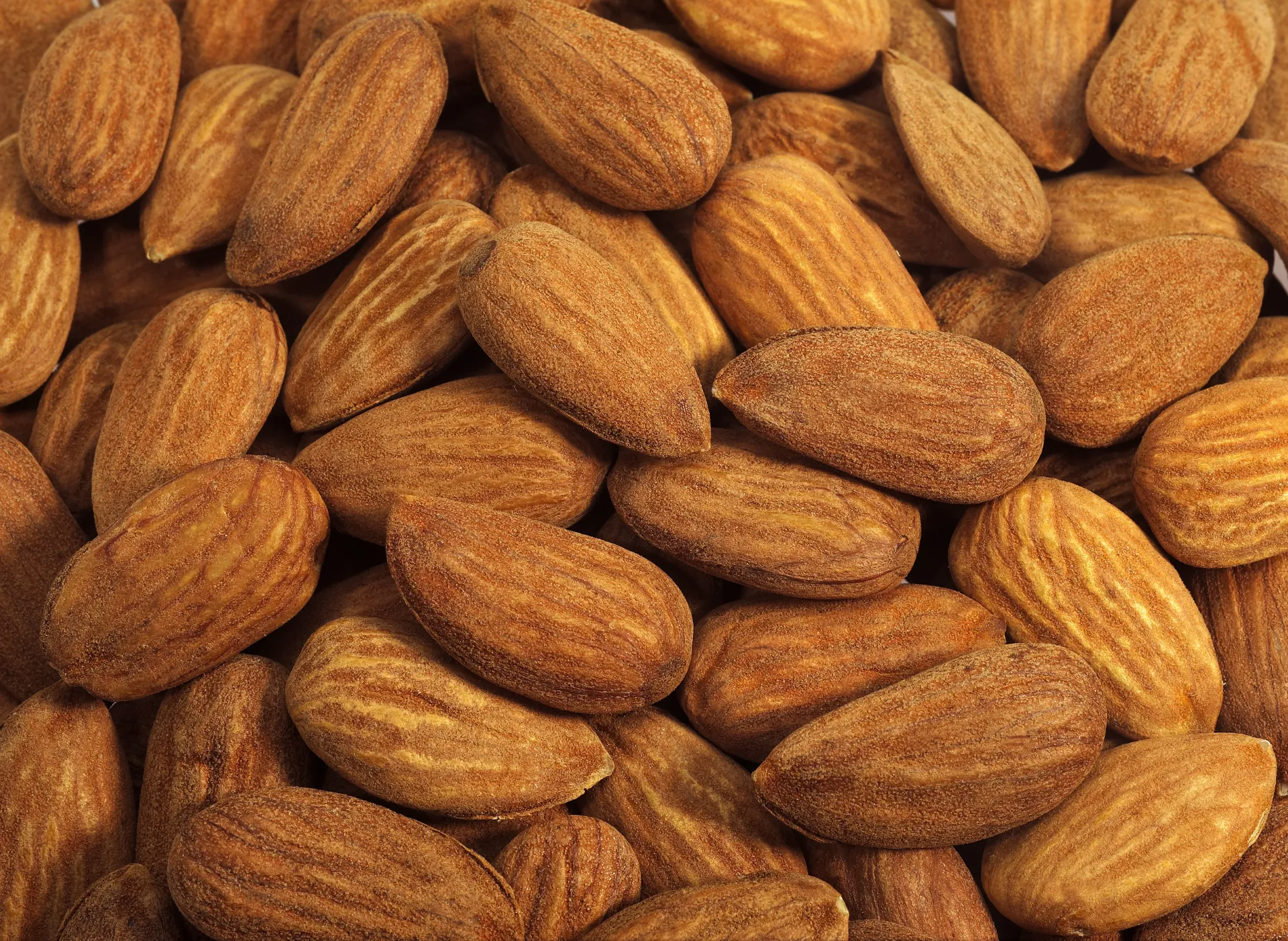 [17] BADEM KAVRULMUŞ 23-25